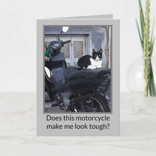 CHAT DE MOTOCYCLETTE / HUMOUR (Devant)