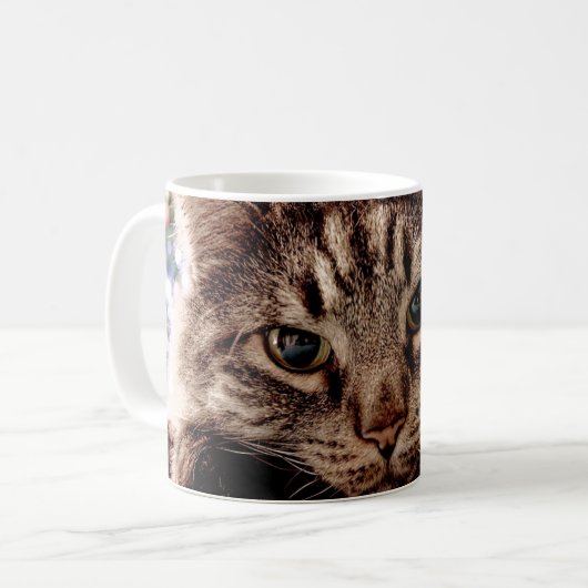 Chat de Mug Maine (Devant gauche)