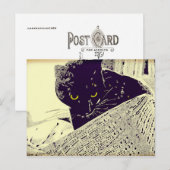 Chat de musique - Carte postale (Devant / Derrière)
