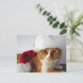 Chat de Noël dans la carte postale de Santa Hat (Debout devant)