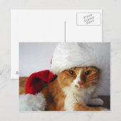 Chat de Noël dans la carte postale de Santa Hat (Devant / Derrière)