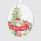 Chat de Noël écossais (devant)