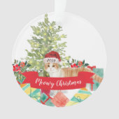 Chat de Noël écossais (devant)