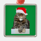 Chat de Noël Humbug Photo Premium Carré Ornement (Devant)