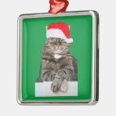 Chat de Noël Humbug Photo Premium Carré Ornement (Gauche)