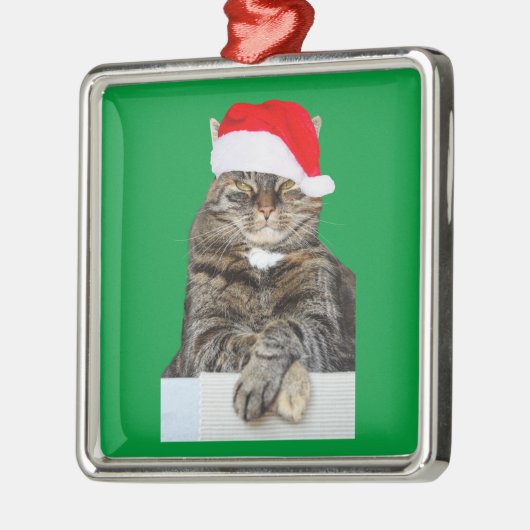 Chat de Noël Humbug Photo Premium Carré Ornement (Gauche)