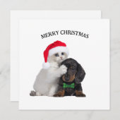 Chat de Noël mignon et carte de Noël de chien drôl (Devant / Derrière)