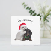 Chat de Noël mignon et carte de Noël de chien drôl (Debout devant)