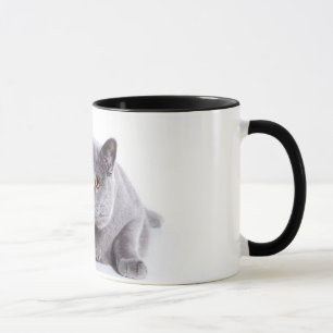 chat de petit morceau de tasse