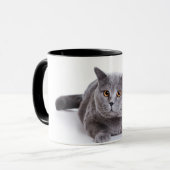 chat de petit morceau de tasse (Devant gauche)