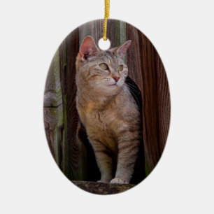 chat de porcelaine ornement lookout