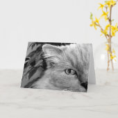 Chat de poupée, carte (Fleur jaune)