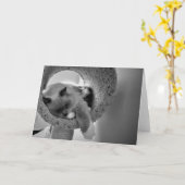 Chat de poupée, carte (Fleur jaune)