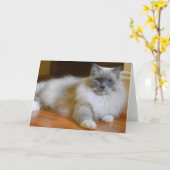 Chat de poupée, carte (Fleur jaune)