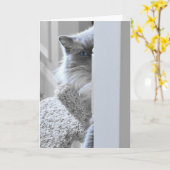 Chat de Ragdoll, carte (Fleur jaune)
