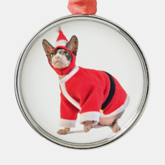 Chat de Sphynx en ornement de costume du père noël