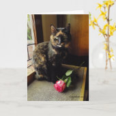 Chat d'écaille et carte de voeux rose (Fleur jaune)