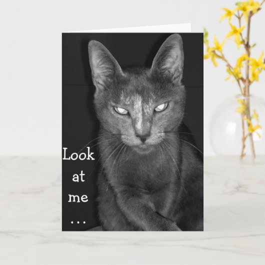 Chat déplaisant - Carte Anniversaire (Fleur jaune)