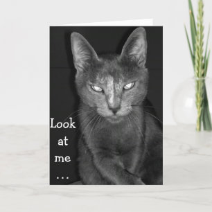 Chat déplaisant - Carte Anniversaire