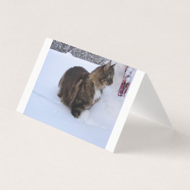 chat des forêts norvégiennes dans la neige (Front)