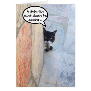 CHAT DÉTECTIF DERRIÈRE LE MUR DE PIERRE