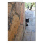 CHAT DÉTECTIF DERRIÈRE LE MUR DE PIERRE (Devant)