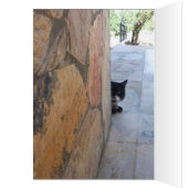 CHAT DÉTECTIVE DERRIÈRE LE MUR DE PIERRE (Intérieur (Gauche))