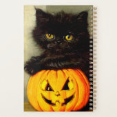 Chat d'Halloween vintage et lanterne Jack-o’ (Dos)