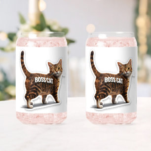 Chat dominant clignant des yeux ours tabby peut