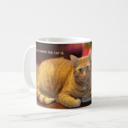 Chat d'orange de tasse (Devant gauche)