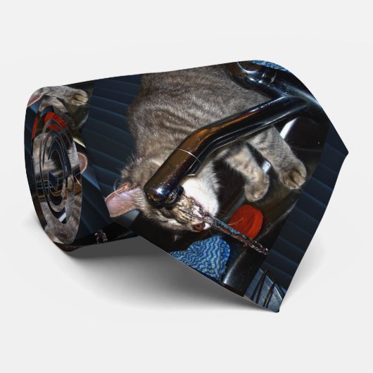 Chat Drôle Boire Du Robinet, Cravate (Roulé)