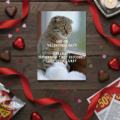 Chat drôle Valentine's Day Mème célibataire