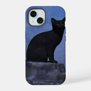 Chat éclairé par la lune
