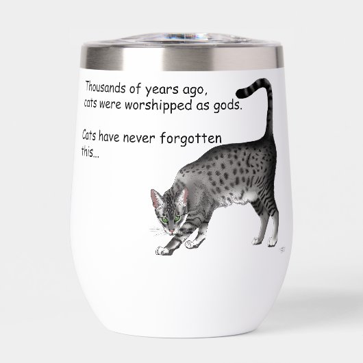 Chat égyptien Gris Tabby (Avant)