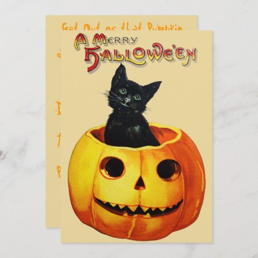 Chat en Citrouille Halloween Party Invitation (Devant / Derrière)