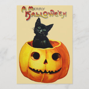 Chat en Citrouille Halloween Party Invitation
