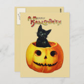Chat en Citrouille Vintage Halloween Carte postale (Devant / Derrière)