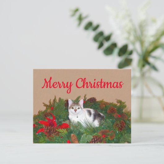 Chat en couronne Carte de Noël (Debout devant)