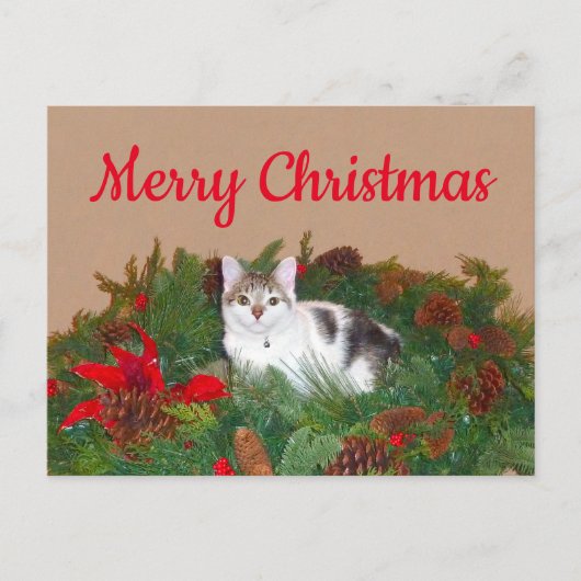 Chat en couronne Carte de Noël (Devant)