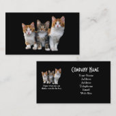 Chat en dehors du carte de visite de boîte (Devant / Derrière)