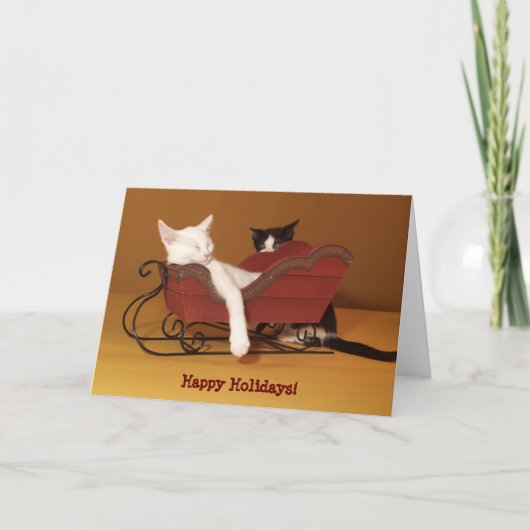 Chat en Humour de traîneau Carte de Noël (Devant)