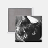 Chat en noir et blanc aimant carré (Recto/Verso)