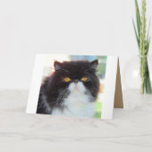 Chat en sac Surprise Anniversaire Invitation (Dos)