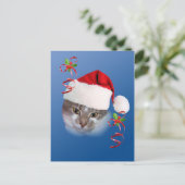Chat en Santa Hat Carte postale (Debout devant)