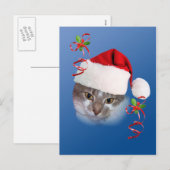 Chat en Santa Hat Carte postale (Devant / Derrière)