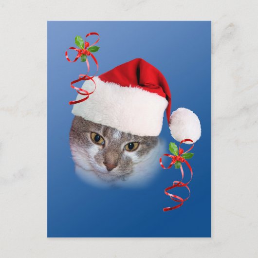 Chat en Santa Hat Carte postale (Devant)