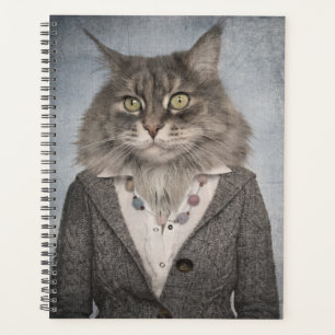 Chat En Vêtements