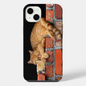 Chat endormi sur un mur de briques (Verso)