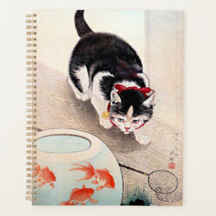 Chat et bol à poissons rouges