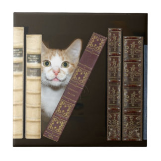 Chat et carreaux de livres